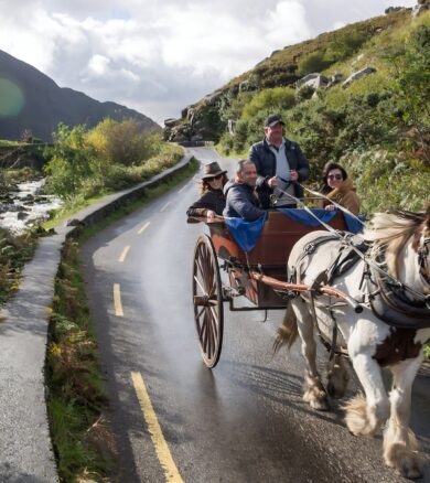 Jaunting car tour, Killarney National Park, Co Kerry_Web Size
