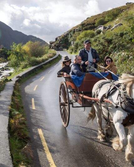 Jaunting car tour, Killarney National Park, Co Kerry_Web Size