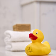 The James Rubber Duck 4500px