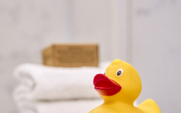 The James Rubber Duck 4500px