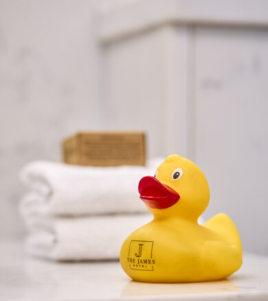 The James Rubber Duck 4500px