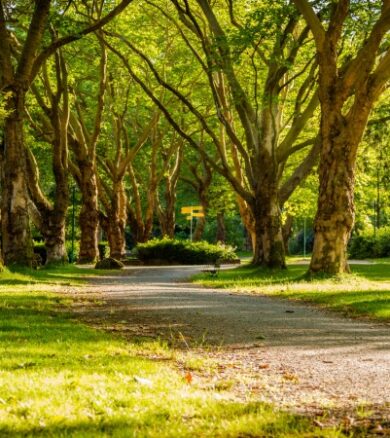 Tralee_town_park