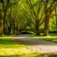 Tralee_town_park-Picsart-AiImageEnhancer