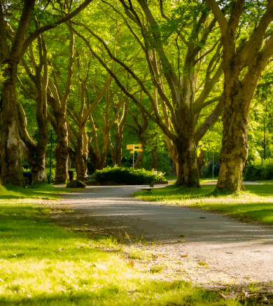 Tralee_town_park-Picsart-AiImageEnhancer